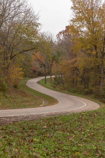 A vertical shot of a road through a forest covered in autumnal colors