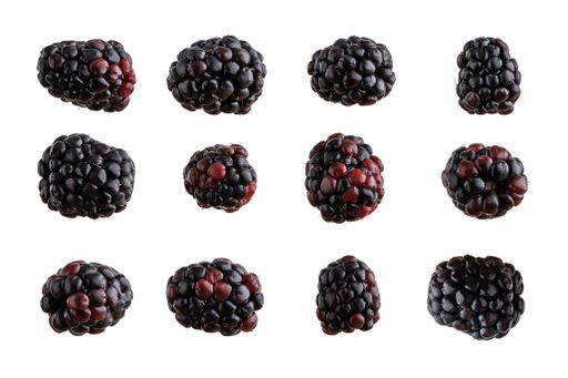 The boysenberries, which are a cross between blackberries and raspberries isolated on white background