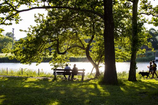 a couple silhouette sitting romantically on a park bench during sunset in Chicago. the beautiful green scenery creates calm relax feeling for dating