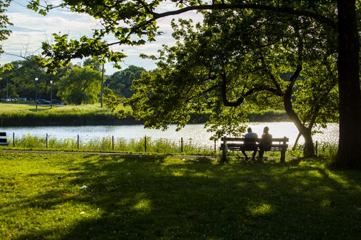a couple silhouette sitting romantically on a park bench during sunset in Chicago. the beautiful green scenery creates calm relax feeling for dating
