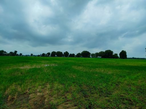 A Beautiful Shot Of Indian Village Farm