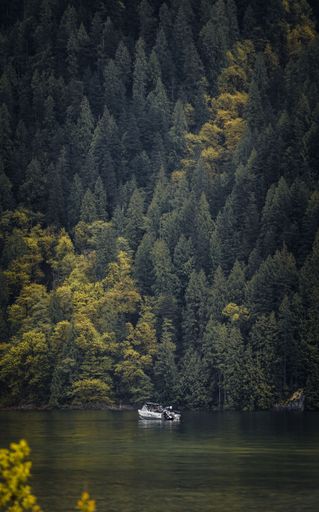 A boat floating on Alouette lake near a dense pine forest