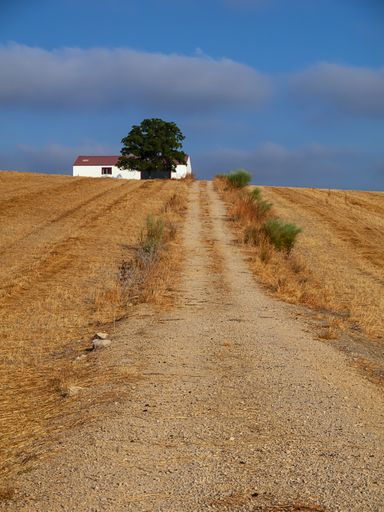 A vertical shot of a road in the countryside leading to a small rural house