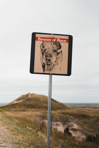 A vertical shot of a sign showing a warning to be beware of bison