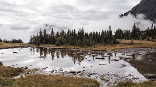 A mesmerizing shot of the Yellowstone National Park Yellowstone USA