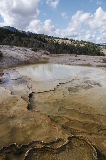 A vertical shot of Yellowstone National Park in Yellowstone, USA