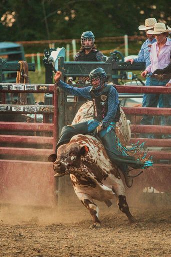 A vertical shot of a cowboy riding a bull at the Wyandotte County Kansas Fair Rodeo