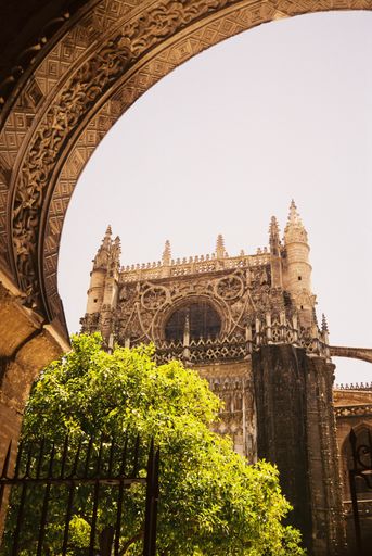 A vertical shot of the Giralda in Seville, Spain near green trees under the clear sky