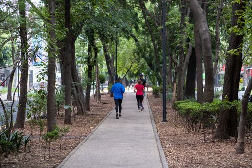 Runners in the lush green park island medians of Avenida Amsterdam in the trendy neighborhood of Condesa, in Mexico City (Ciudad de Mexico, CDMX).
