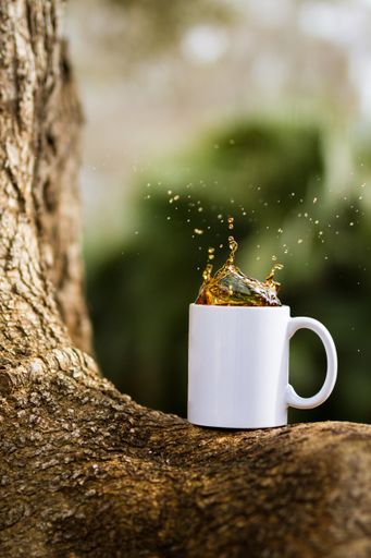 A vertical shot of a white mug of tea on a tree at daytime