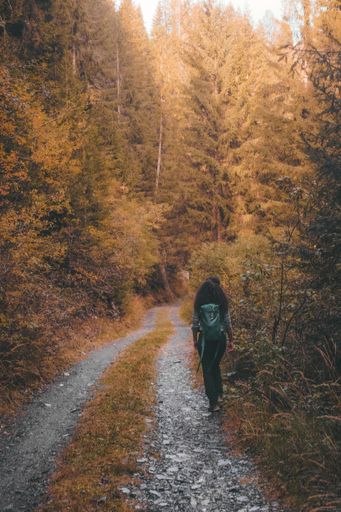A vertical shot of a female walking on a trail through a beautiful forest in autumn