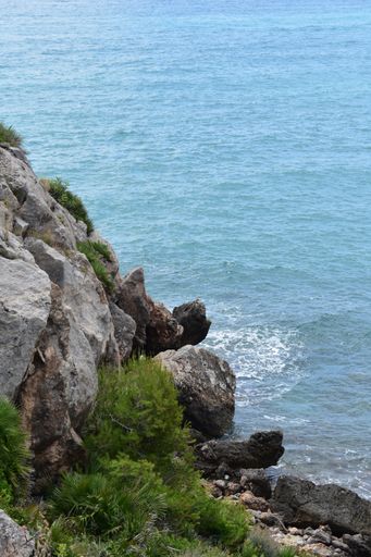 A vertical shot of a seashore with a cliff, grass, and rocks
