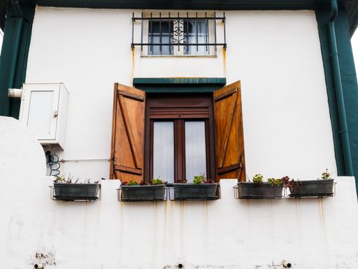 A window with flowers in pots on a white building