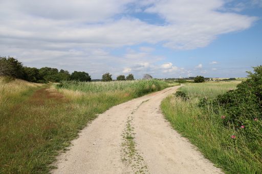 A road in a field covered in greenery under a blue cloudy sky and sunlight in Thoro, Denmark