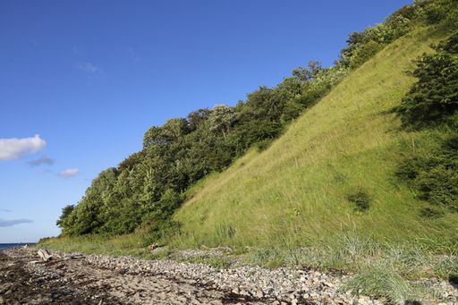 The Rojle beach surrounded by hills covered in greenery under a blue sky in Denmark