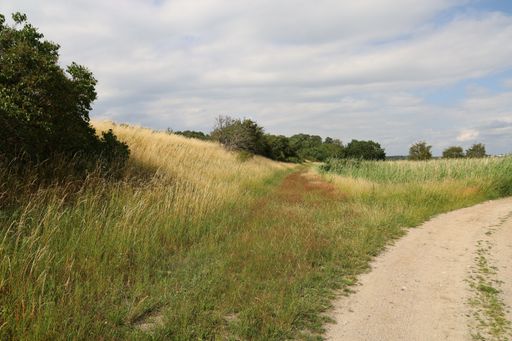 A road in a field covered in greenery under a cloudy sky at daylight in Thoro, Denmark