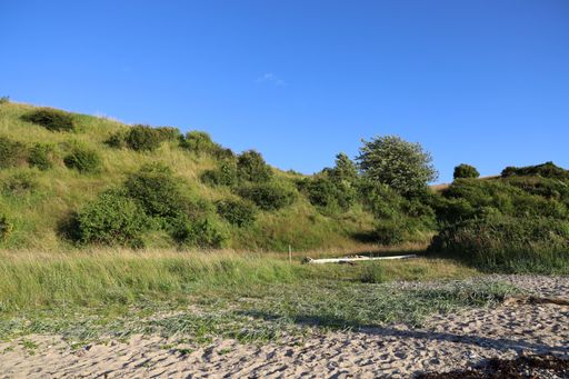 The Rojle beach surrounded by hills covered in greenery under a blue sky in Denmark