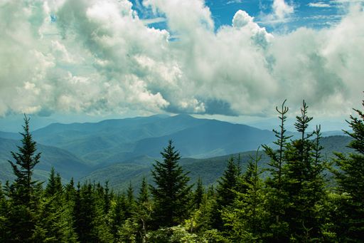 A mesmerizing view of fir trees and green mountains in the background under cloudy blue sky