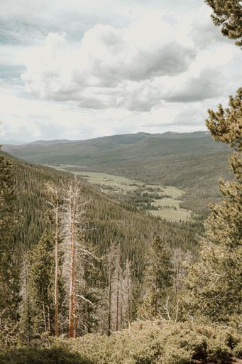 A mesmerizing view from hill to forested mountain range on sunny day in Winter Park, Colorado, USA