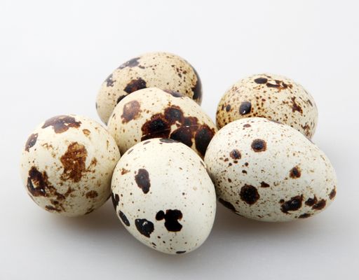 A closeup shot of the quail eggs with brown spots on the white surface