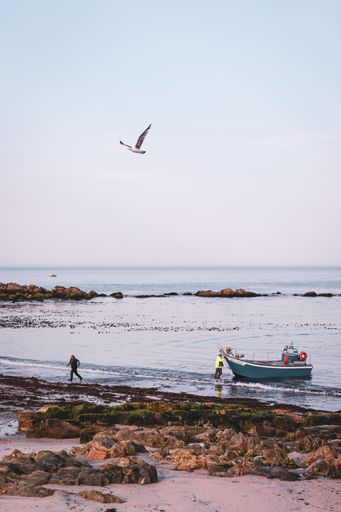 A vertical shot of people and a fishing boat at Apulia Beach with a seagull flying above