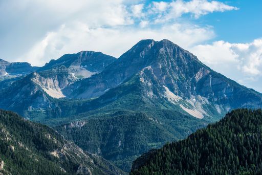 A gorgeous landscape with tall snowy peaks and thick green forests under a bright cloudy sky