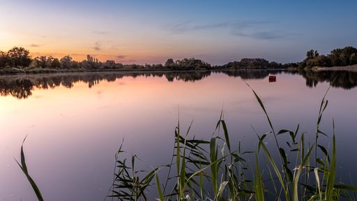 A beautiful sunset with trees reflected in Giftener see and the grass in the foreground
