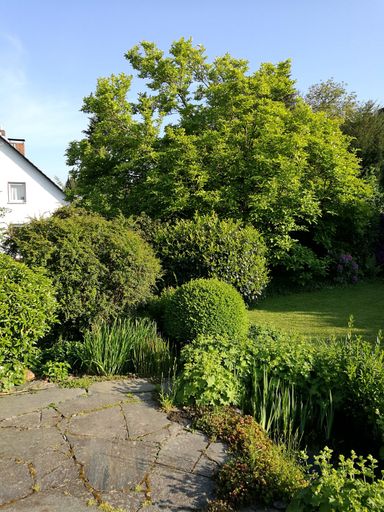A vertical shot of a rural house surrounded by lush summer vegetation in the backyard