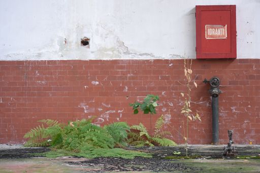 A white and red old wall with a fire hydrant near it