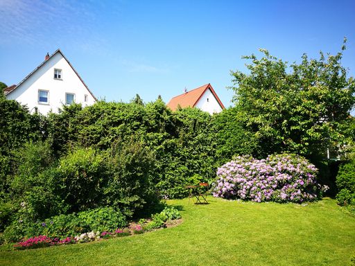 Modern rural houses surrounded by lush summer vegetation in the backyard