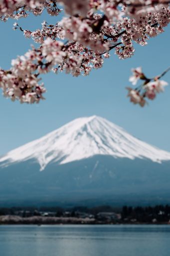 A vertical shot of a Mount Fuji and Kawaguchi lake from Oishi Park, Minamitsuru, Yamanashi, Japan