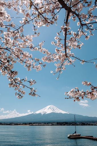 A vertical shot of a Mount Fuji and Kawaguchi lake from Oishi Park, Minamitsuru, Yamanashi, Japan