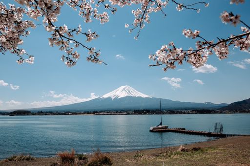 A mesmerizing shot of Mount Fuji and Kawaguchi lake from Oishi Park, Minamitsuru, Yamanashi, Japan