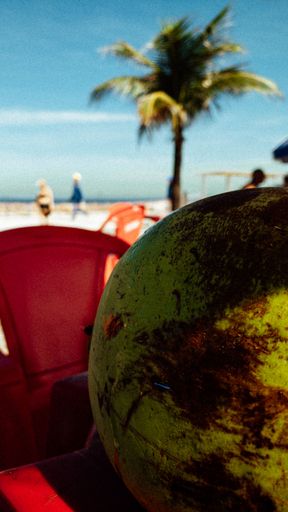 A vertical closeup of a coconut on the beach on a sunny day