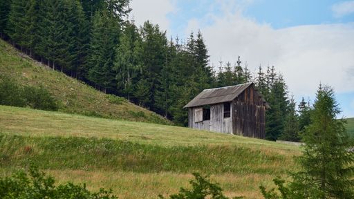A small wooden cabin in the meadows