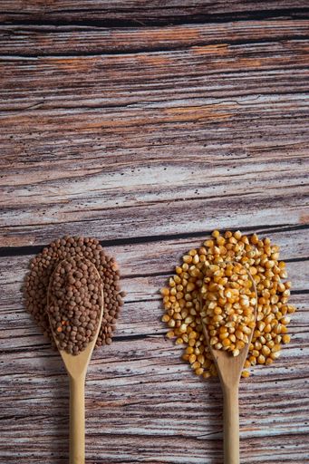 A top view vertical shot of two wooden spoons overflowing with brown lentils and corn kernels