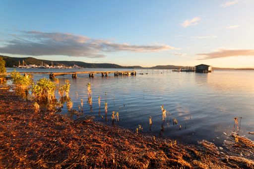 A wooden jetty and a small cabin on the beach at sunset with a blue sky in the background, Tascott, NSW Central Coast, Australia