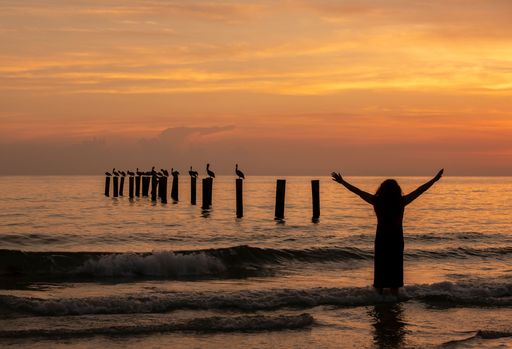 A person standing in front of pelicans resting on tree logs in the ocean at sunset