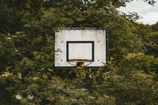 Old abandoned white rusty basketball nest without net in the middle of green vegetation in Germany. Dark mood.