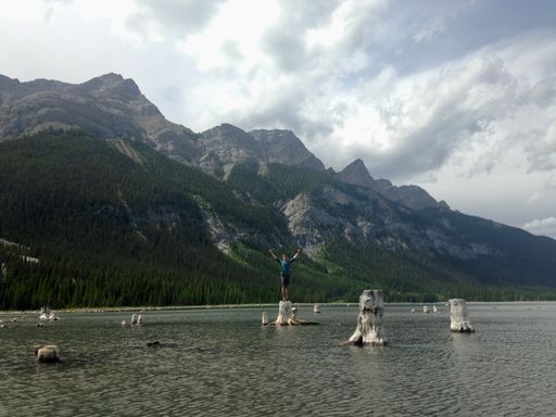 A beautiful shot of a male standing on dead trees in a lake above Canmore Alberta in Canada