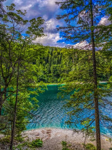 A vertical shot of the Eibsee lake in the Garmisch Partenkirchen town, Germany with trees in the back