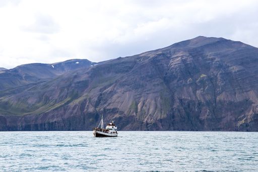 A cruise ship sailing on a body of water against rocky mountains