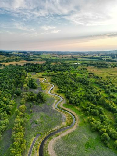An arial view of flowing river surrounded by dense trees during sunset