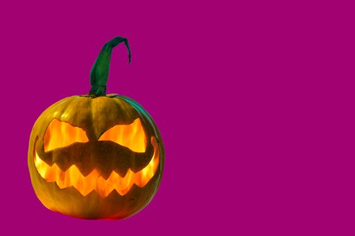 A close up shot of a curved pumpkin for Halloween on a purple background with copy space