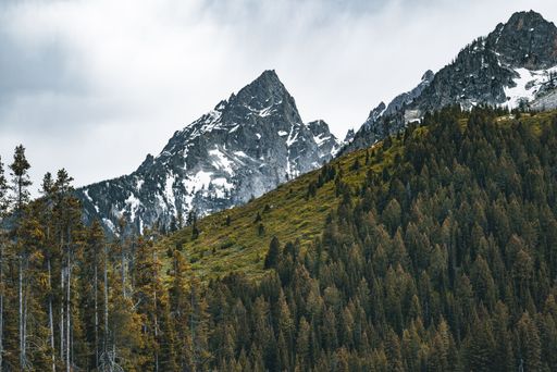 The Tetons with a forest in the foreground before a storm