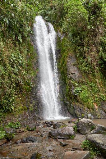 A vertical shot of a splashing flowing waterfall in a forest in eastern Ecuador
