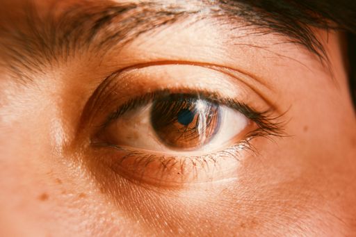 A closeup shot of a brown eye in sunlight