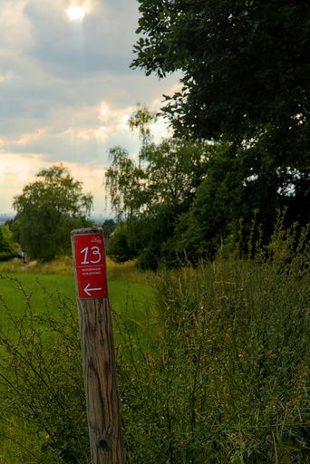 A vertical shot of a direction sign for hikers on a wooden post in Bergisch Gladbach, Germany