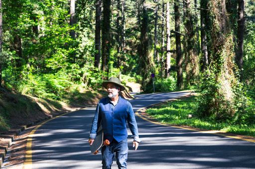 The view of a man carrying a skateboard in his hand while walking on the road through a forest