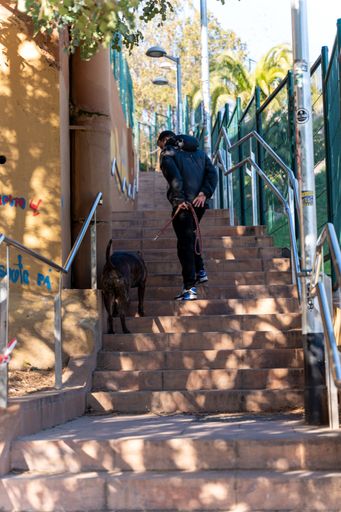 A vertical shot of a man walking a dog on stairs in a city in Spain
